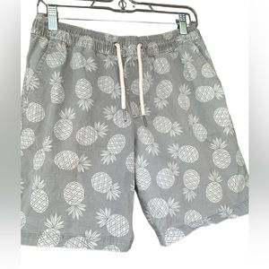 DepartWest Pina Loca Stretch Short in Gray